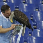 ESAURITO: La Lazio si separa dal falconiere Juan Bernabé per i post sull'”impianto penieno”